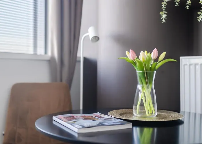 Ans Hanza Tower No 428 - Swimming Pool, Sauna, Jacuzzi, Viewing Terrace